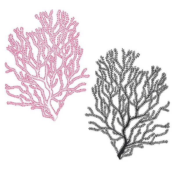 Corail Illustration Vectorielle Éléments Isolés — Image vectorielle