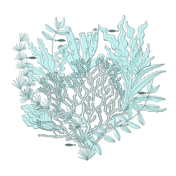 蓝色背景上的海藻和鱼 海洋主题的矢量背景 — 图库矢量图片