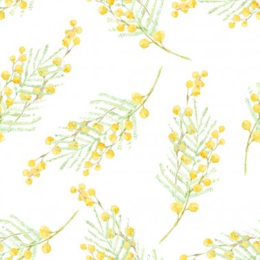 Mimoza suluboya dal ile Seamless modeli. Suluboya resim çizilmiş.