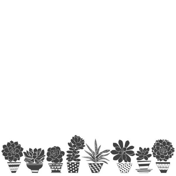 Sukkulenten Töpfen Floraler Monochromer Hintergrund Mit Platz Für Text Können — Stockvektor