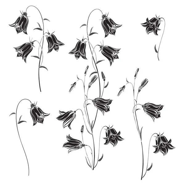 Blauglockenblumen. Skizze. handgezeichnete Umrisse Vektor Illustration — Stockvektor