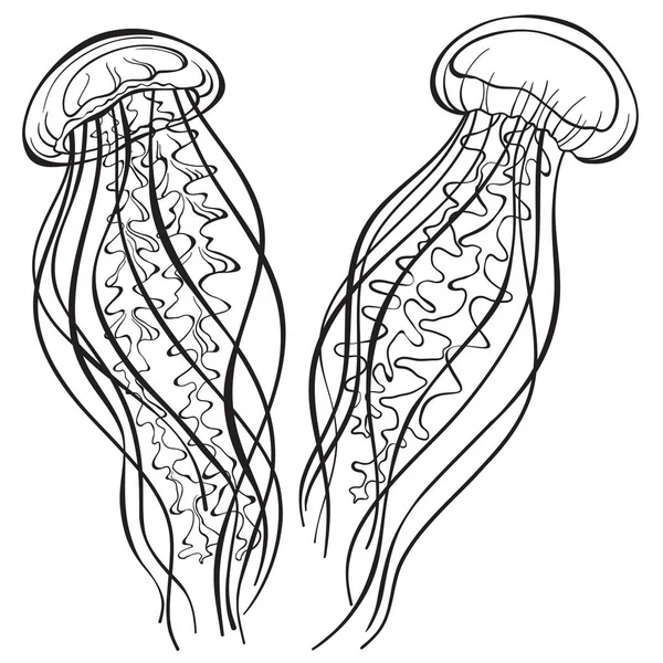 Maneter. Isolerade vektorobjekt på vit bakgrund. Line art — Stock vektor