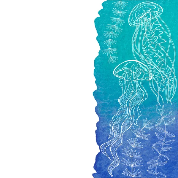 Illustrazione vettoriale con meduse, pianta acquatica su bac acquerello — Vettoriale Stock