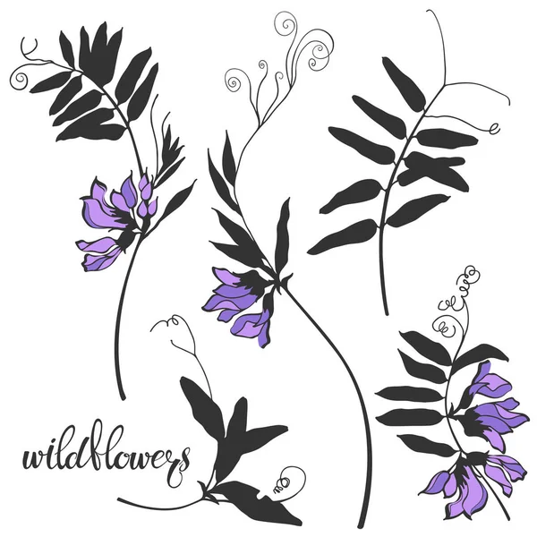 Wildflowers isolerad på vit bakgrund. Vektorillustration. — Stock vektor