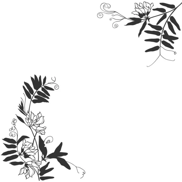 Vector illustration with grass mouse peas , design element. Invi — Stock Vector