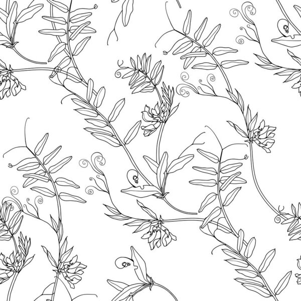 Дикие цветы. Горох травы мыши с цветами. Абстрактный природный парк
