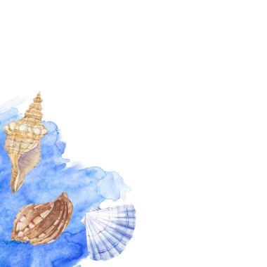 Kabukları ve metin için yer ile Deniz arka plan. Suluboya. Köşe kompozisyonu. Davetiyeler, tebrik kartları veya tasarımınızın bir parçası olabilir için mükemmel kullanım.