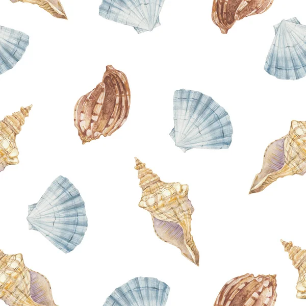 Seamless watercolor pattern with seashells on a white background. — Stock Photo, Image