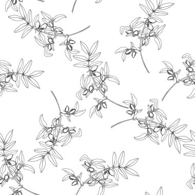 Dalda hanımeli meyveleri. Beyaz çiçek dikişsiz arka plan. Vektör. Çizgi sanatı.