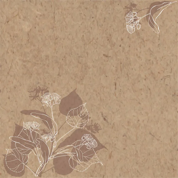 Fundo vetorial floral com ramo de tília e lugar para texto em papel kraft. Convite, cartão de felicitações ou um elemento para o seu design. Composição de canto . —  Vetores de Stock