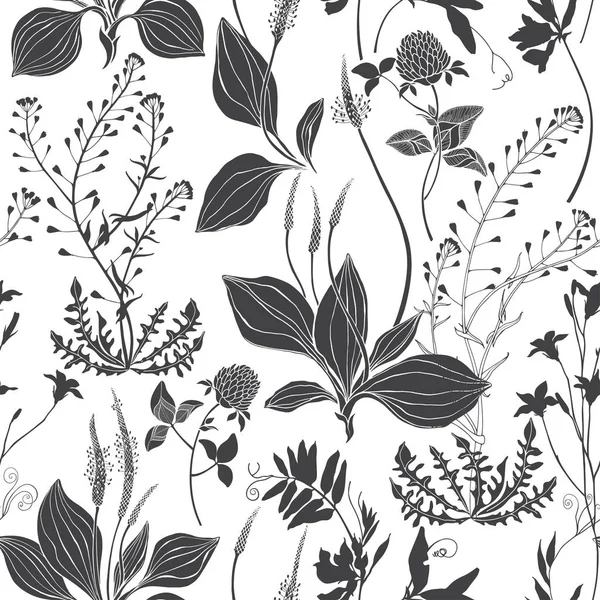 Seamless vector pattern with wildflowers on a white background. Grass mouse peas with flowers, plantain and shepherd's purse, bluebell, clover.Silhouettes. — Stock Vector