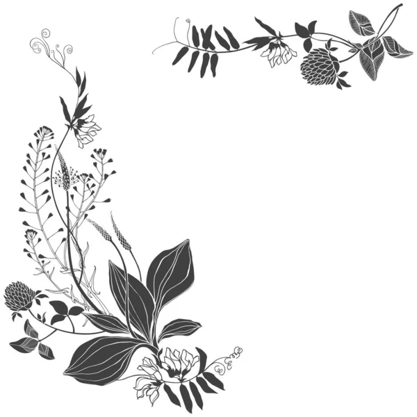 Floral background with wildflowers, herbs and space for text on white. Invitation, greeting card or an element for your design. Vector. Silhouette. — Stock Vector