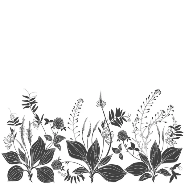 Fondo floral con flores silvestres, hierbas y espacio para el texto en blanco. Invitación, tarjeta de felicitación o un elemento para su diseño. Vector. Silueta . — Archivo Imágenes Vectoriales