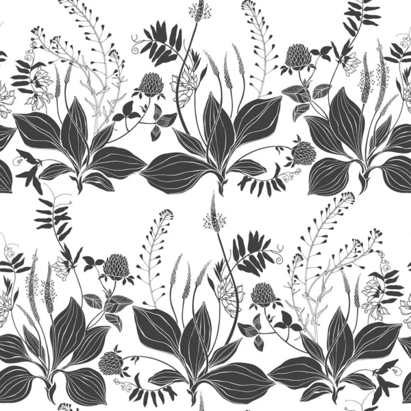 Sömlös vektor mönster med vildblommor och vilda örter på en vit bakgrund. Grass Mouse ärter med blommor, groblad och herde handväska, klöver. Silhuetter. — Stock vektor