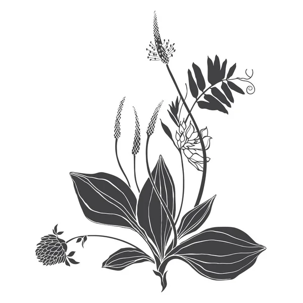 야생화와 허브의 꽃다발. 여름 배경입니다. 흑백 벡터 그림입니다. 흰색 디자인에 대한 격리 된 요소입니다. 실루엣. — 스톡 벡터