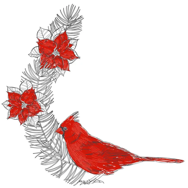 Kerst samenstelling met kardinaal vogel, Poinsettia bloemen en dennentakken. Vector. Uitnodiging, wenskaart of een element voor uw ontwerp. — Stockvector