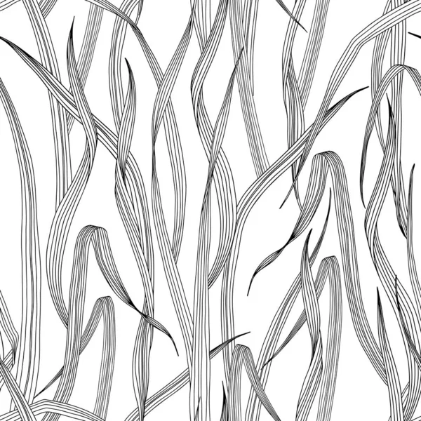 Seamless pattern with wild meadow grass. Monochrome vector illustration on a white background. — ストックベクタ