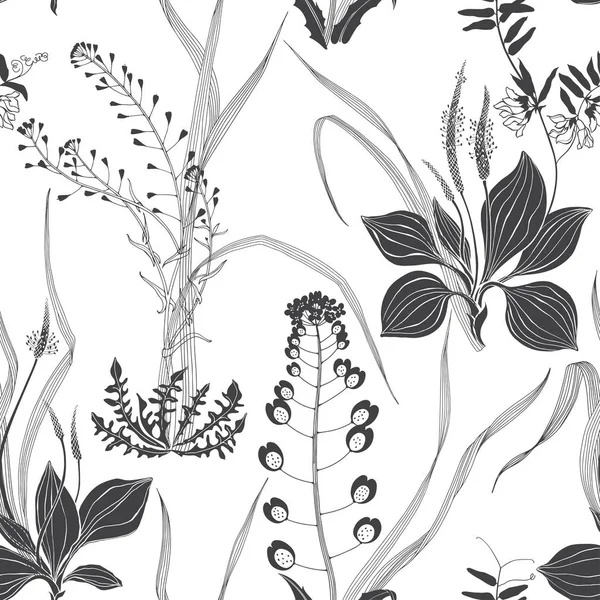 Patrón de vector sin costuras con hierbas silvestres de prado sobre un fondo blanco. Esquema y silueta. Blanco y negro . — Archivo Imágenes Vectoriales