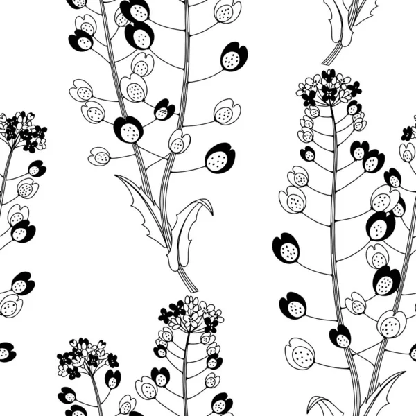 Płynny wzór z dzikimi ziołami łąki. Monochromatyczna ilustracja wektora na białym tle. — Wektor stockowy