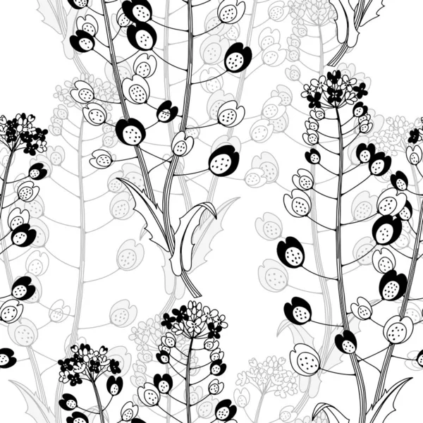 Seamless pattern with wild meadow herbs. Monochrome vector illustration on a white background. — Stock Vector