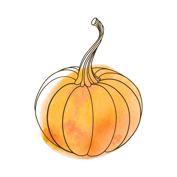 Een pompoen. Vector illustratie groente met oranje aquarelvorm. Geïsoleerd element, is perfect voor uitnodigingen, wenskaarten. — Stockvector