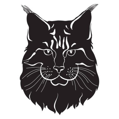 Maine Rakunu, tasarladığın bir element olabilir.