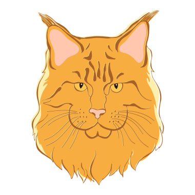 Maine Rakunu, tasarladığın bir element olabilir.