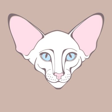 Doğulu kedi, dizaynın bir parçası olabilir.