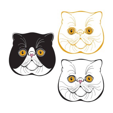 Egzotik kedi suratı, tasarımının bir parçası olabilir. Üç farklı varyasyon.