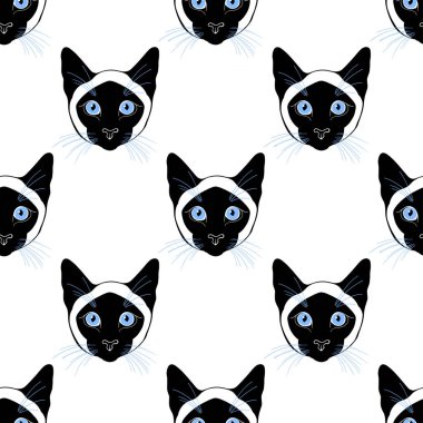 Siyam kedileriyle hayvan sanatı geçmişi.  