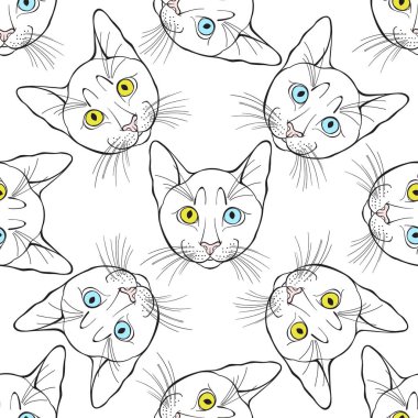Renkli gözlü, kedi yüzlü bir hayvan sanatı..  