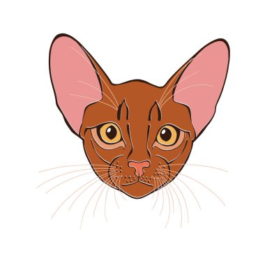 Habeş kedisi suratı. Tasarımının bir parçası olabilir.