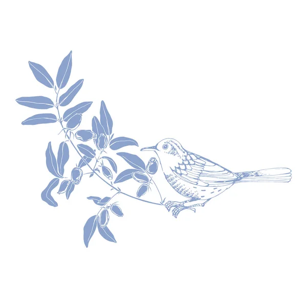 Uccello Sui Rami Caprifoglio Può Essere Elemento Vostro Disegno — Vettoriale Stock