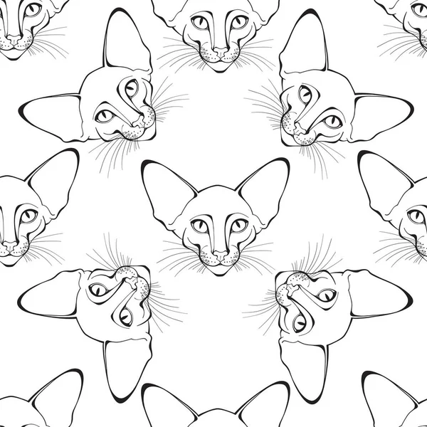 Animal Art Background Oriental Cat Face — Stock Vector