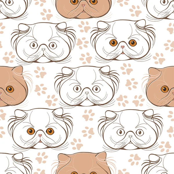 Animal Art Background Persian Cat Face Trace Cat Feet — Stock Vector