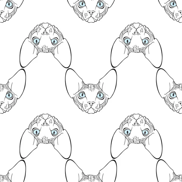 Djur Konst Bakgrund Med Kanadensiska Sfinx Katt Ansikte Ansikte — Stock vektor