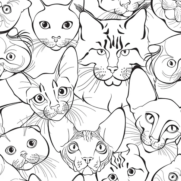 異なる品種の猫の顔 動物芸術の背景 ベクトル — ストックベクタ