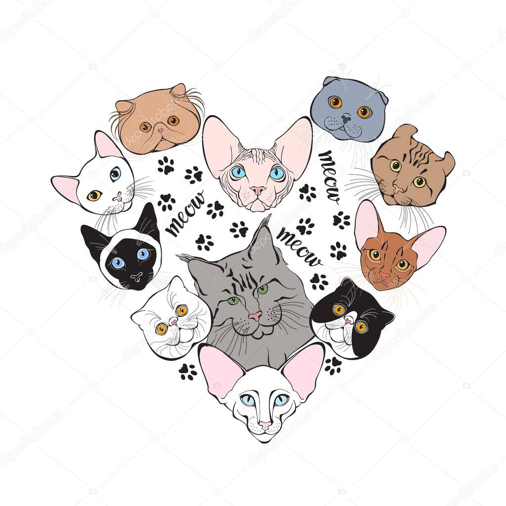 Cats of different breeds. Hand-drawn vector illustration of heart-shaped.