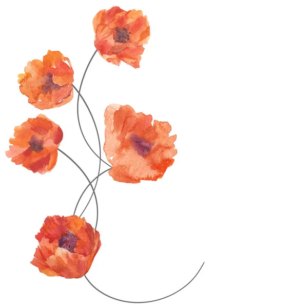 Fondo Floral Con Amapolas Ilustración Acuarela Con Espacio Para Texto —  Fotos de Stock