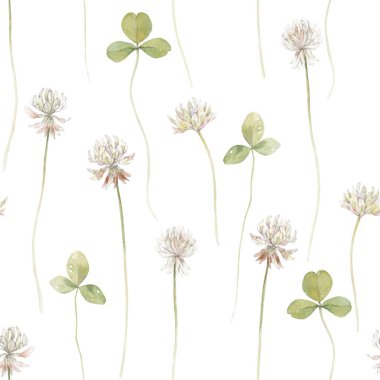 Yonca çiçekli arka plan. Suluboya.