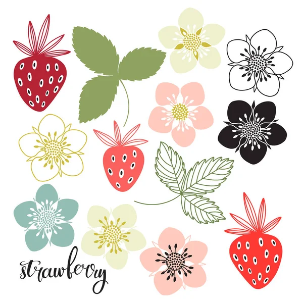 Strawberry Vector Illustration Isolated Elements — Stock Vector