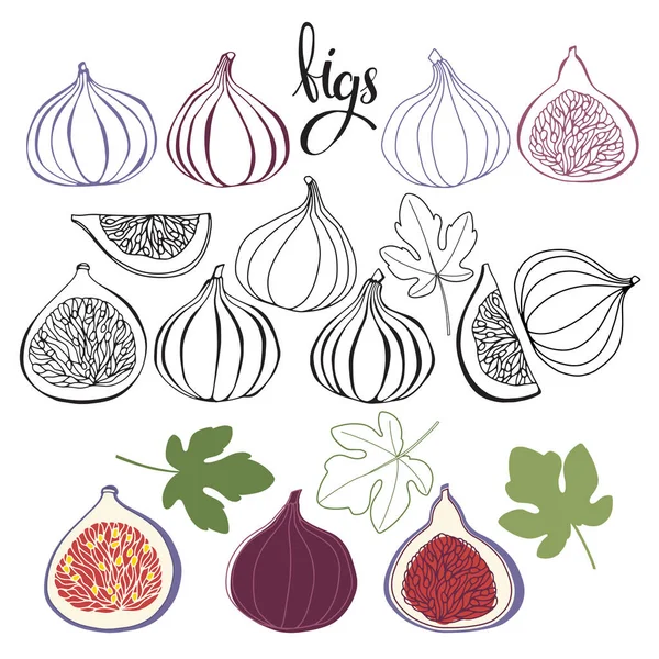 Figs Vector Illustration Isolated Elements — Stock Vector