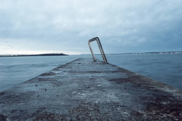 Uzak ışık spot siyah ve beyaz arka plan üzerinde uçan bir yalnız martı. Punta del Este, Uruguay