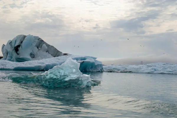 Jokulsarlon, Izlanda gökyüzünde kuşlar ile güneşli bir günde güzel buzul Gölü. Boşluk Kopyala.