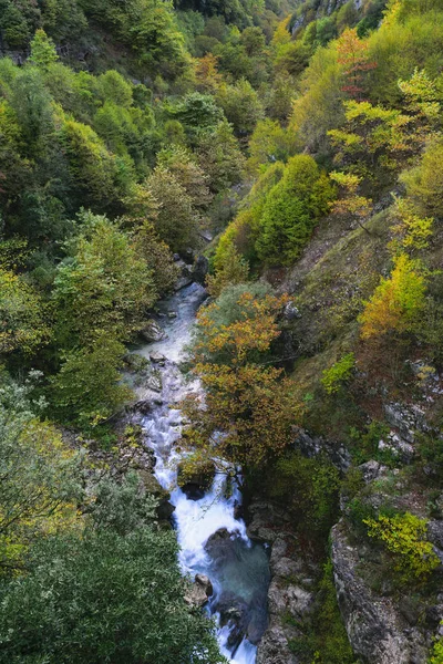 Река Протекающая Через Ущелье Живет Цветом Autumn Золотой Горе — стоковое фото