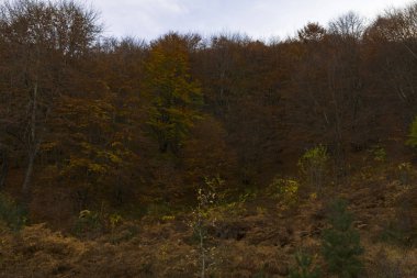 Güney doğuda Larissa ve Tırhala için South.The Pindus Dağları Grevena'nun batı kesiminde kapak alanları, Yanya Batı, Kuzey-Batı Kastoria, Kozani Kuzey ve Doğu bölgelerinde Grevena ili kenarlık için ait.
