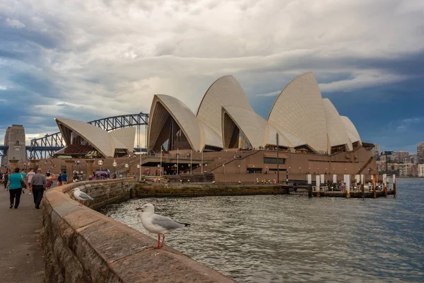 Sydney Opera House Widok Ogrodu Botanicznego Harbour Bridge Tle Australia — Zdjęcie stockowe