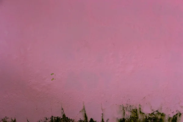 Oud Roze Rommelig Muur Met Vuile Stucwerk Textuur Voor Achtergrond — Stockfoto