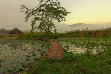 gündoğumu ve dağ arka plan ile lotus gölet üzerinde ahşap köprü