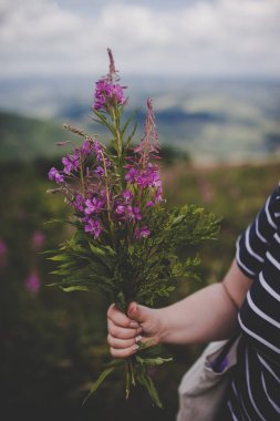 Ukraynalı dağlar, Karpatlar, sakin ve yaz vibes ile harika doğa ile olan. 